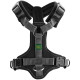 Hunter Pet - Maldon Harness