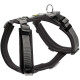 Hunter Pet - Maldon Harness