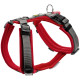Hunter Pet - Maldon Harness
