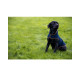 Jack Pyke - Fleece Dog Coat