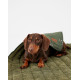 Joules Bee Print Pet Blanket