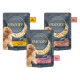 Encore Deluxe Collection Adult Wet Dog Food Pouch - Chicken Selection in Jelly 5 x 100g