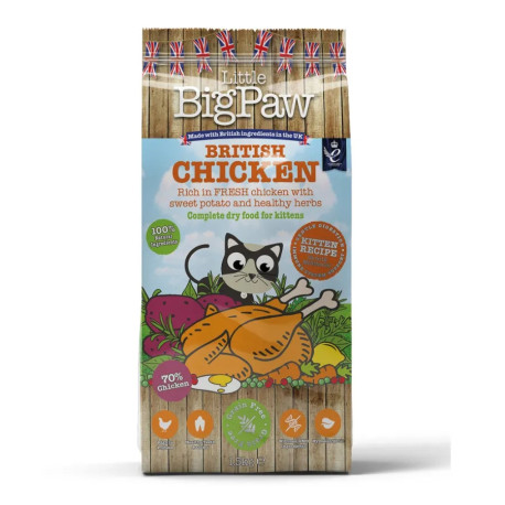 Little Big Paw Kitten British Chicken