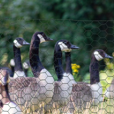 PawHut 1m x 25m Chicken Wire Mesh, Foldable PVC Coated Welded Garden Fence, Roll Poultry Netting, for Rabbits, Ducks, Geese - Da