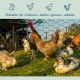 PawHut 1m x 25m Chicken Wire Mesh, Foldable PVC Coated Welded Garden Fence, Roll Poultry Netting, for Rabbits, Ducks, Geese - Da
