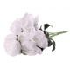 White King Peony Bunch