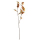 Glamis Eucalyptus Leaves Chocolate Brown (76cm)