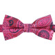 Paisley Bohemian Pre-Tied Bow Tie