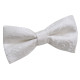 Paisley Pre-Tied Bow Tie