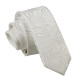 Paisley Skinny Tie