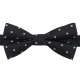 Polka Dot Pre-Tied Bow Tie