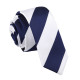 Striped Skinny Tie