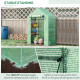 Outsunny Walk In Greenhouse with Shelves, Portable Gardening Plant Grow House for Outdoor with 2 Tier Shelf, Roll-Up Zippered Do