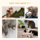 PawHut Cat Tree Tower for Indoor Cats Climbing Activity Center Kitten Furniture with Jute Scratching Post Bed Tunnel Perch Hangi