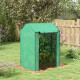 Outsunny Green House, Mini Greenhouse with 2 Roll-up Doors, Vent Holes and Reinforced Cover, 100 x 80 x 150cm