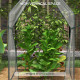 Outsunny Mini Greenhouse, Garden Tomato Growhouse with 2 Zipped Doors, Portable Indoor Outdoor Green House, 90 x 90 x 145cm, Cle