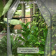 Outsunny Mini Greenhouse, Garden Tomato Growhouse with 2 Zipped Doors, Portable Indoor Outdoor Green House, 90 x 90 x 145cm, Cle