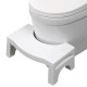 Folding Toilet Step