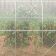Outsunny Polytunnel Greenhouse Walk-in Grow House with PE Cover, Door and Galvanised Steel Frame, 3 x 2 x 2m, Clear