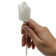 12x Natural Diffuser Flowers - Tulip on Reed