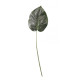 Green Hosta Single Leaf 23 inch