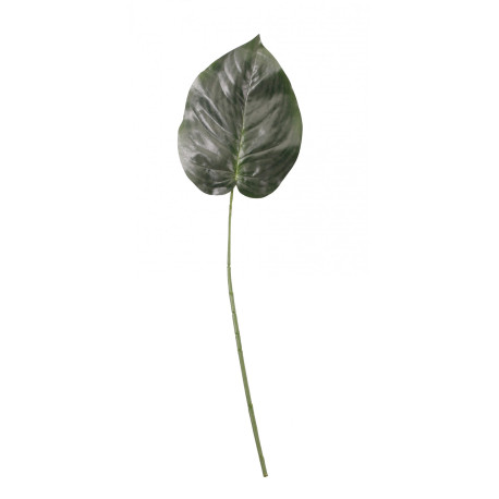 Green Hosta Single Leaf 23 inch