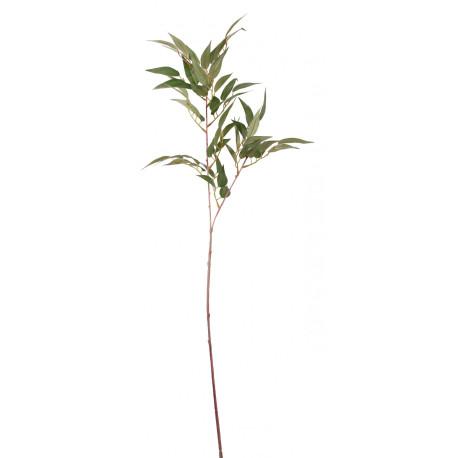 Ficus Benjamen Spray 25 inch