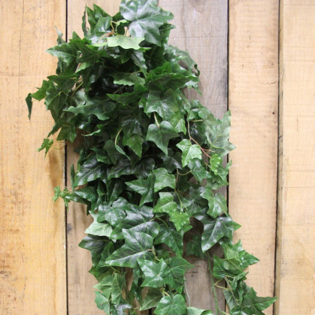 54"" English Ivy Hanging Bush