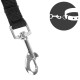 Twin Dog Car Seat Belt