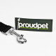 Twin Dog Car Seat Belt