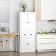 Freestanding Multi-Storage Kitchen Cabinet - White