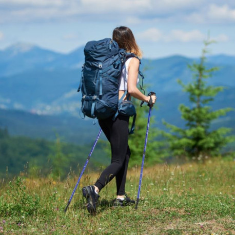 Hiking Pole Adjustable 65-135 cm