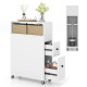 Movable Bathroom Storage Cabinet with 2 Slide Out Drawers