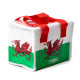 Welsh Dragon Wales (Cymru) RPET Cool Bag