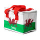 Welsh Dragon Wales (Cymru) RPET Cool Bag