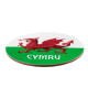Porcelain Mug &amp; Coaster Set - Welsh Dragon Wales (Cymru)