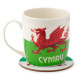 Porcelain Mug &amp; Coaster Set - Welsh Dragon Wales (Cymru)