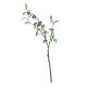 Lingonberry Spray with Burgundy Cluster Berries (63cm)