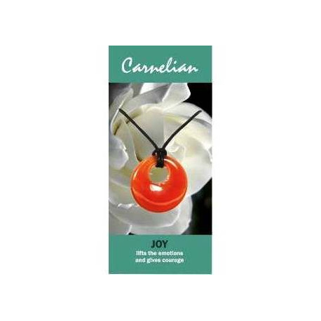 Cardamom Essential Oil -Elettaria cardamomum- 100ml Bottle