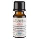 Rose Fragrance Oil 100ml