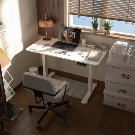 Vinsetto 72-116cm Adjustable Electric Standing Desk, 120 x 60cm Tabletop - White