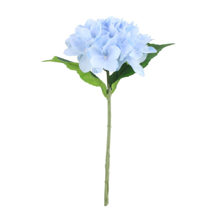 Blue Arundel Hydrangea