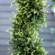 Outsunny Set Of 2 90cm/3FT Artificial Spiral Topiary Trees w/ Pot Fake Indoor Outdoor Greenery Plant Home Office Garden Décor Gr