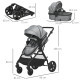Foldable Baby Stoller, with Reclining Backrest, Adjustable Canopy, for Ages 0-36 Months - Grey