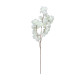 Essential White Cherry Blossom
