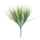 Essential Green Grass Bush