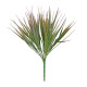 Essential Light Lilac Grass Bush