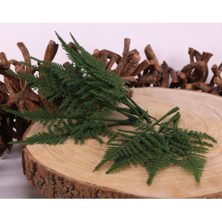Green Fern Leaves