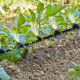 Misting Cooling System Misting Line with 20 Copper Metal Mist Nozzles for Patio Garden Greenhouse - 20m
