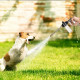 High Pressure Car Wash Spray Gun Garden Water Gun Sprinkler with Nozzle Foam Pot